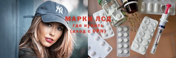 стаф Осташков
