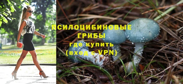 прущая мука Няндома