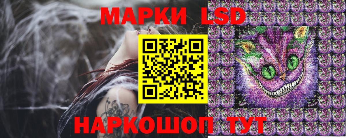 МЕФ Канск