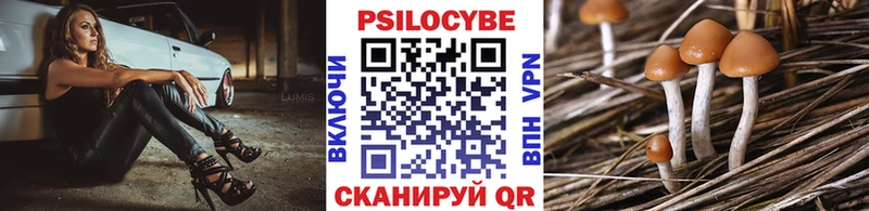 Галлюциногенные грибы Magic Shrooms  наркошоп  Канск 