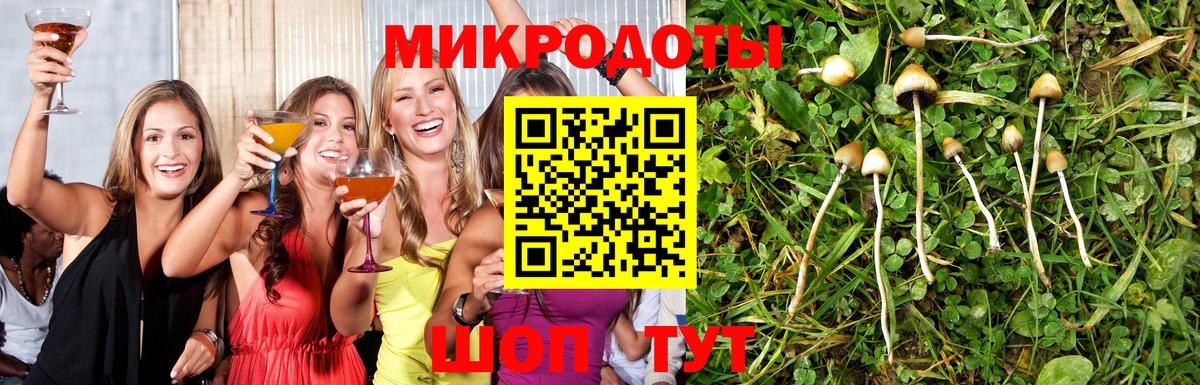 Псилоцибиновые грибы Cubensis  Галлюциногенные грибы Psilocybe  Канск  Вход с VPN 