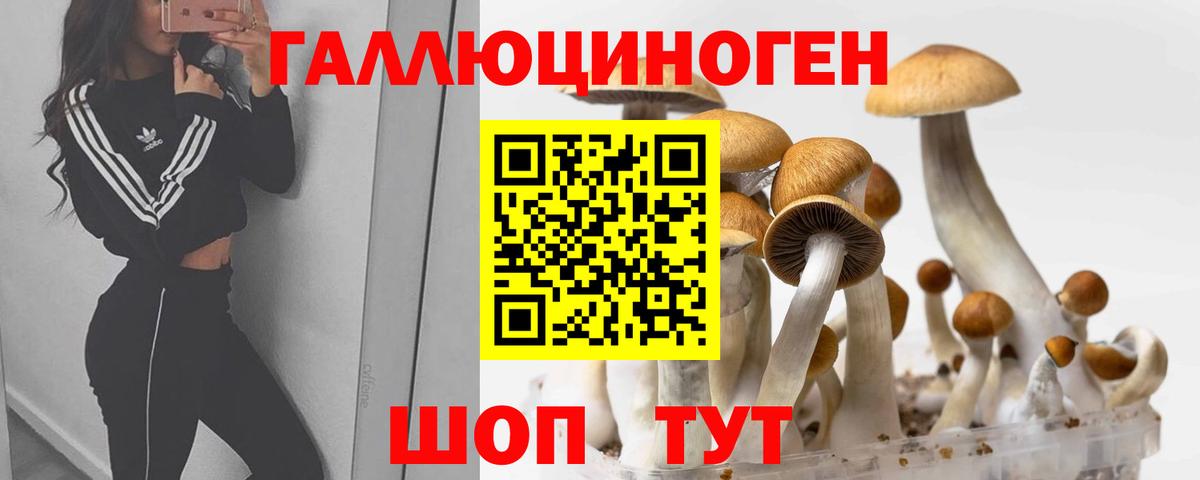 Псилоцибиновые грибы Magic Shrooms Канск