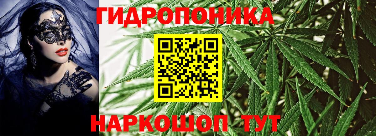 Бошки марихуана Amnesia Канск